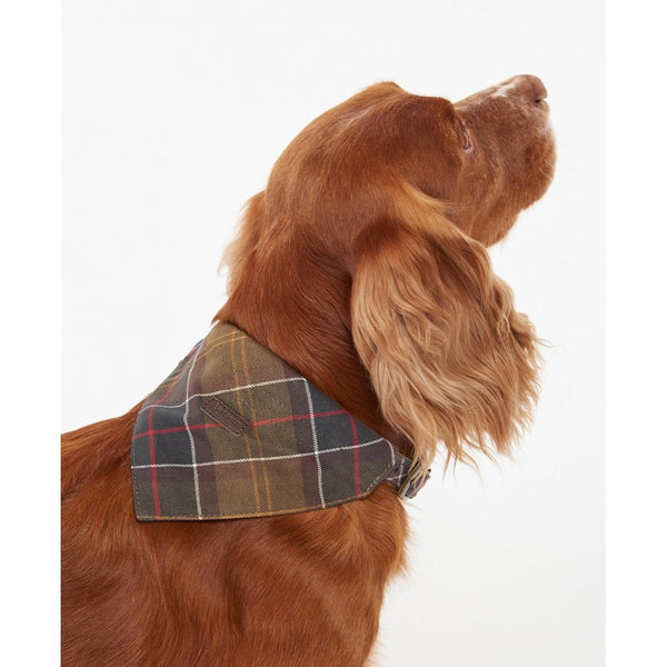 Dog Bandana