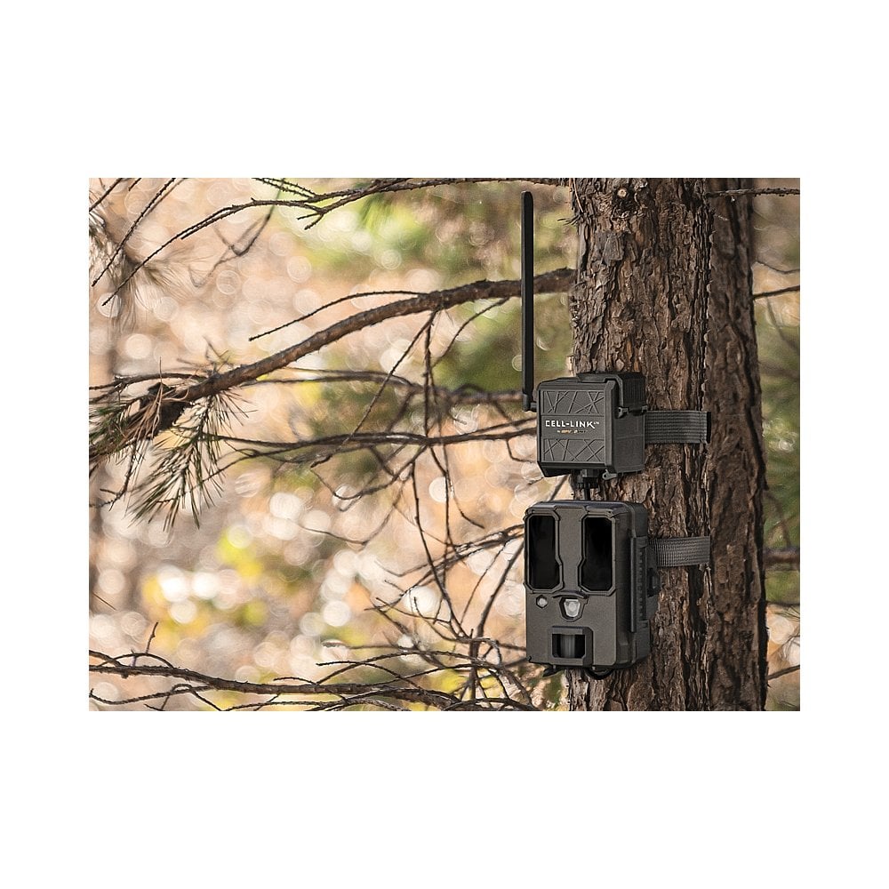 Cell-Link Nature Camera