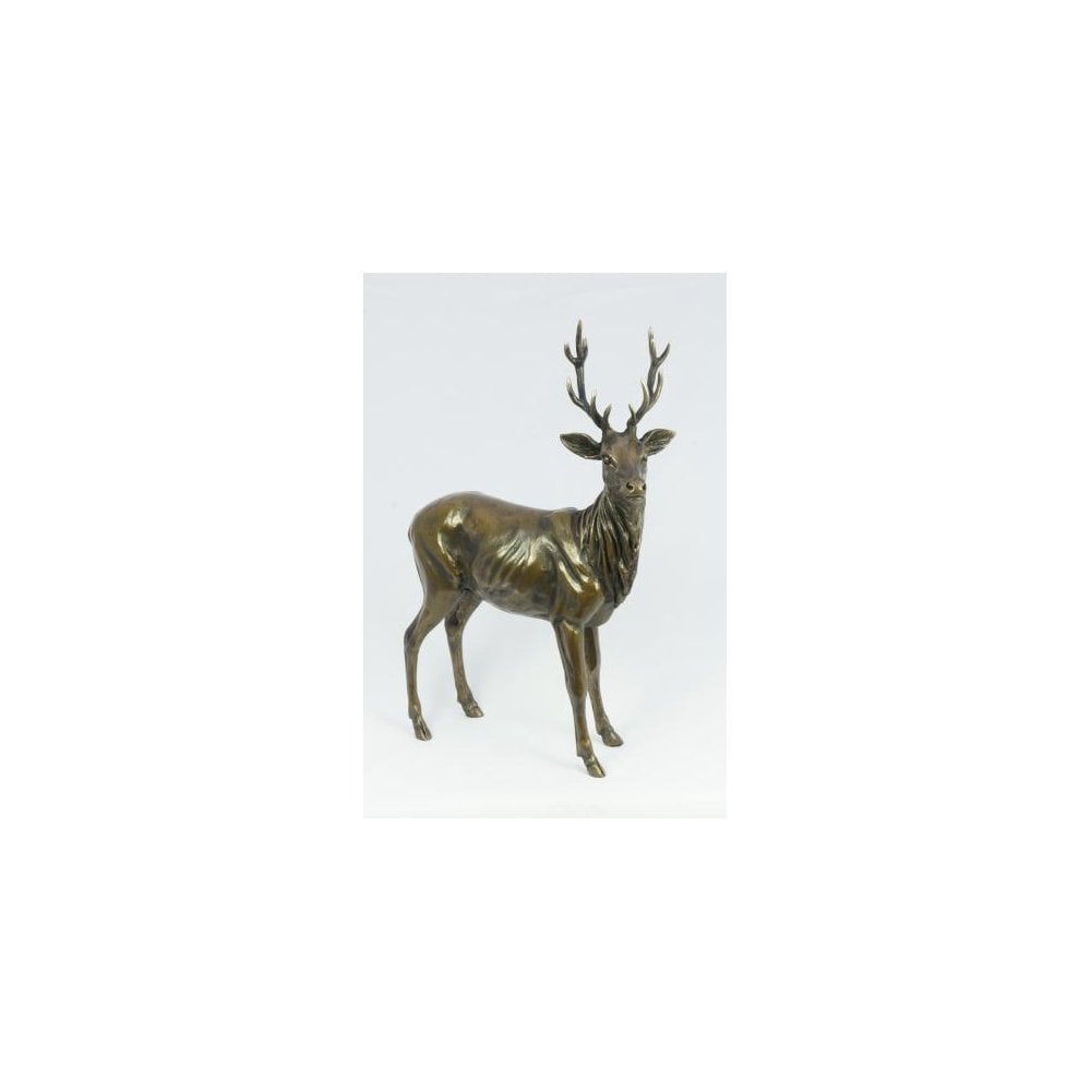 Red Deer Stag
