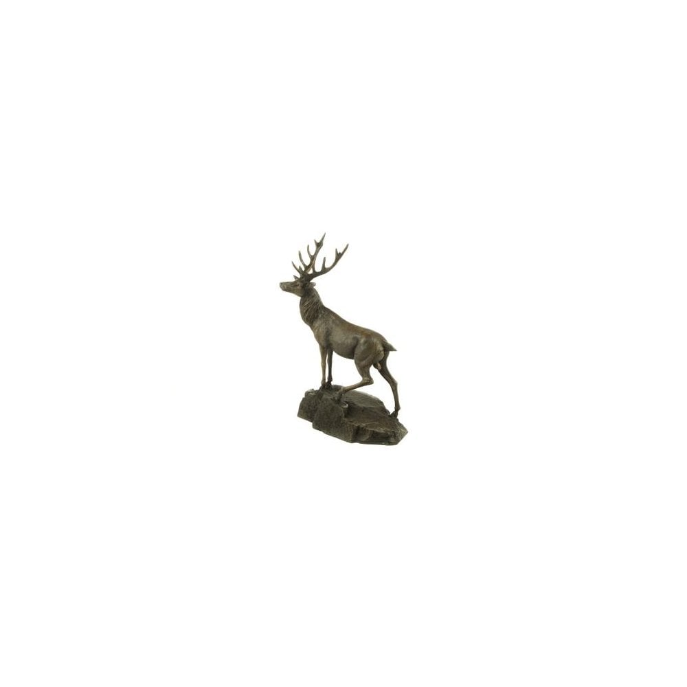 Stag on Rock