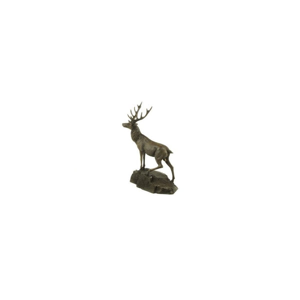 Stag on Rock