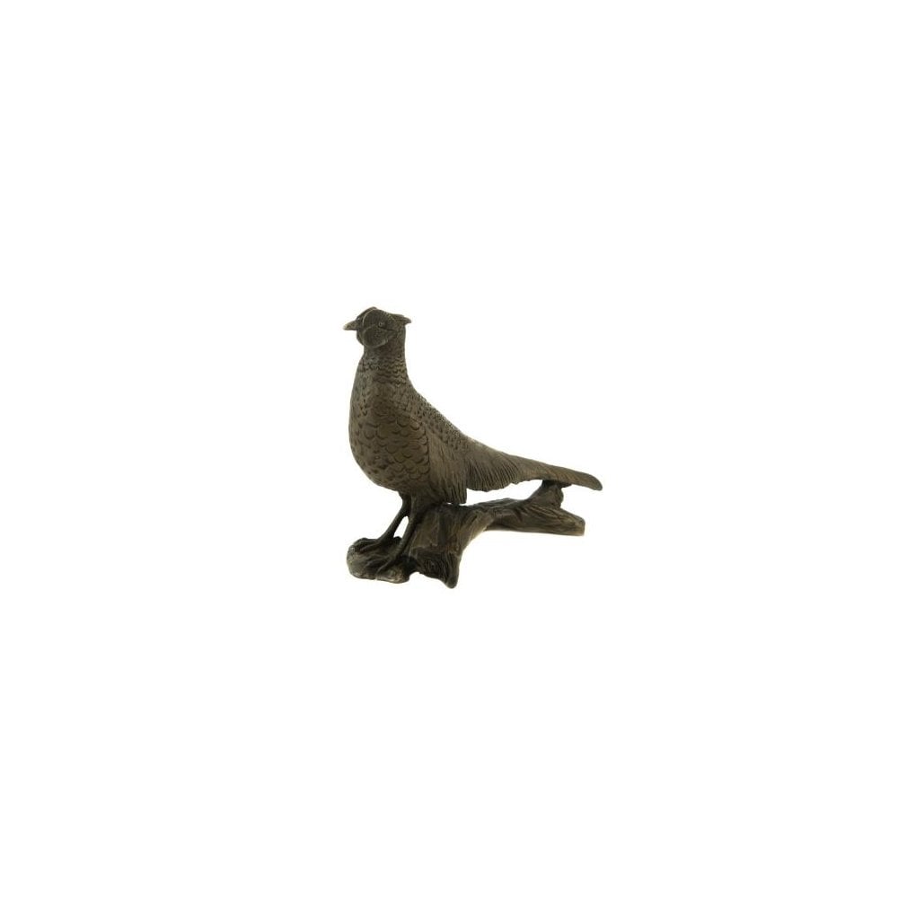 Pheasant