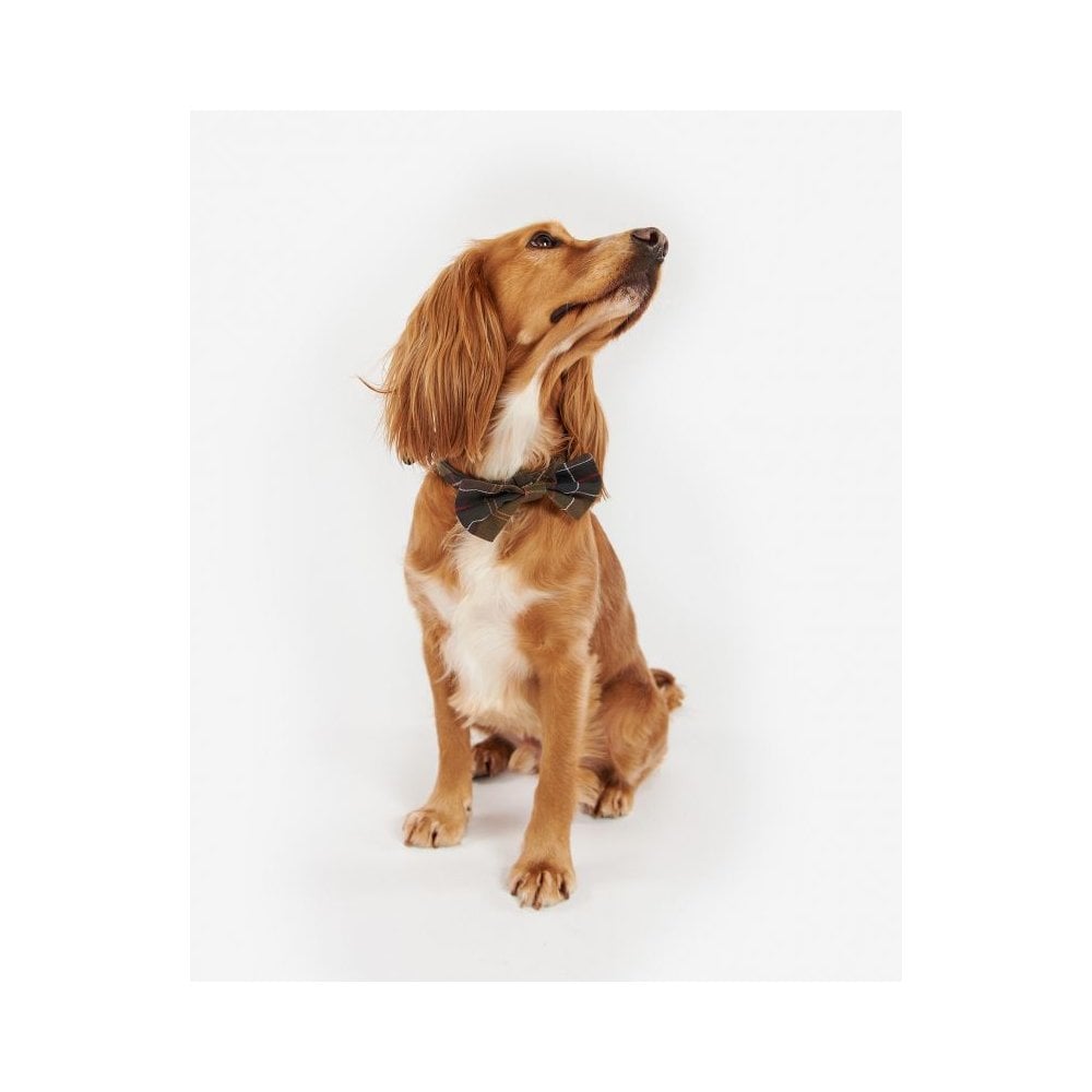 Dog Bow Tie