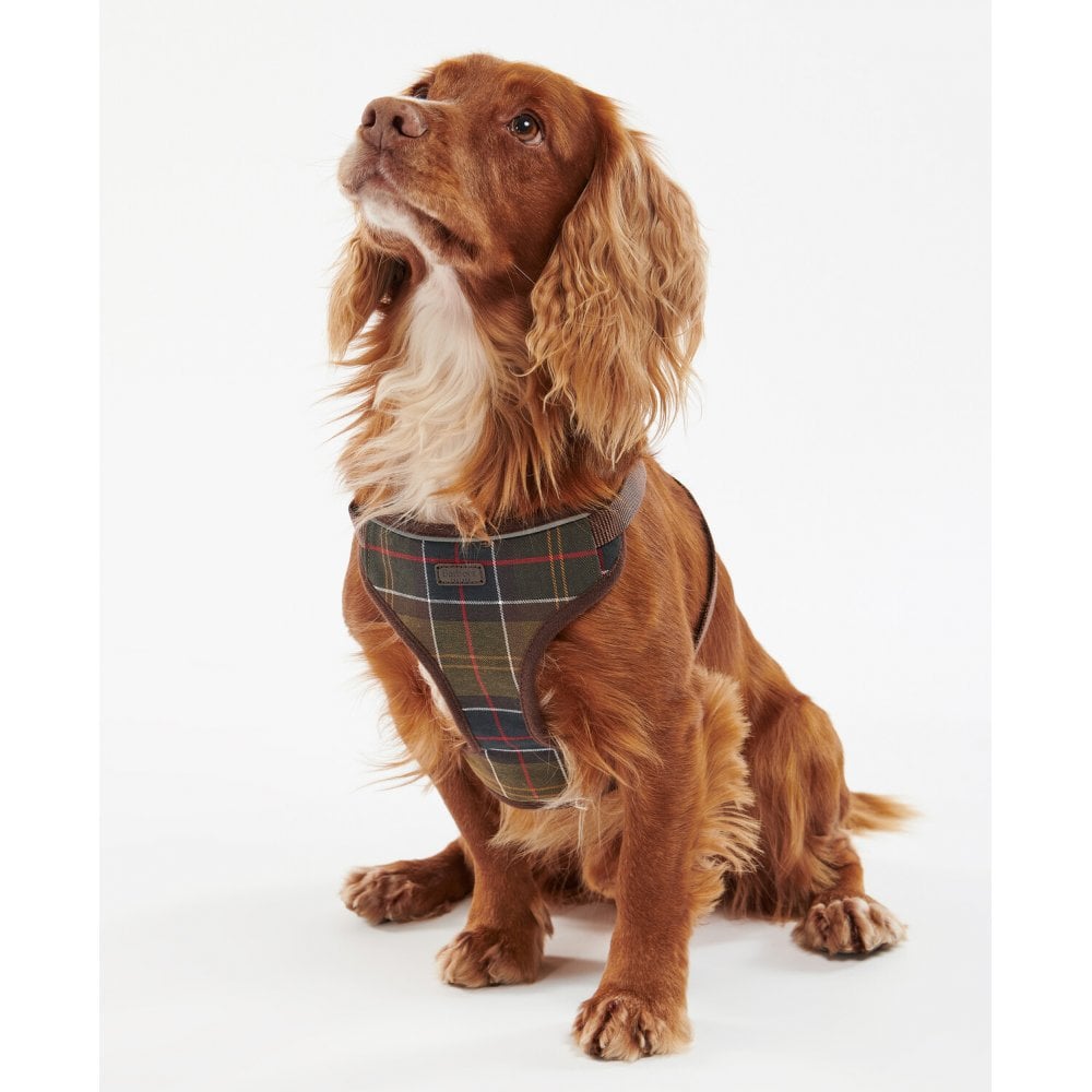 Dog Travel & Excercise Harness - Classic Tartan