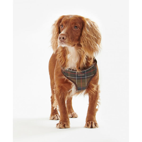 Dog Travel & Excercise Harness - Classic Tartan