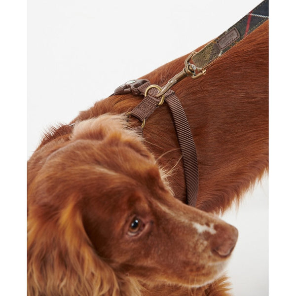 Dog Travel & Excercise Harness - Classic Tartan