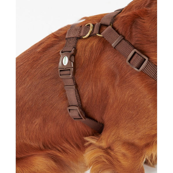 Dog Travel & Excercise Harness - Classic Tartan
