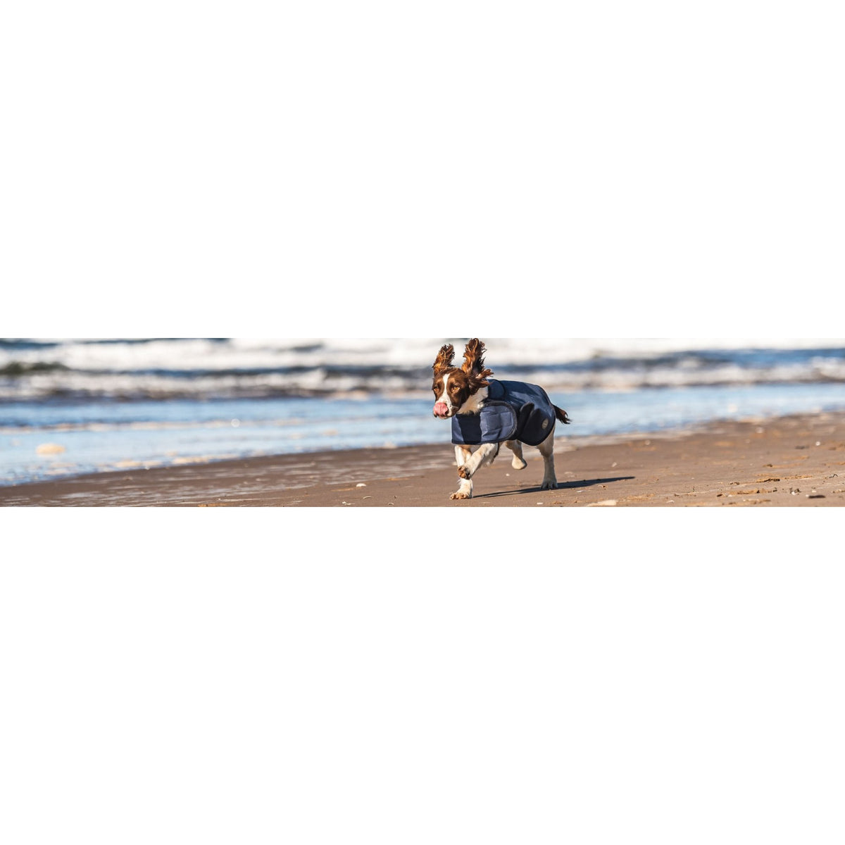 Dog Coat - Bleu Fonce