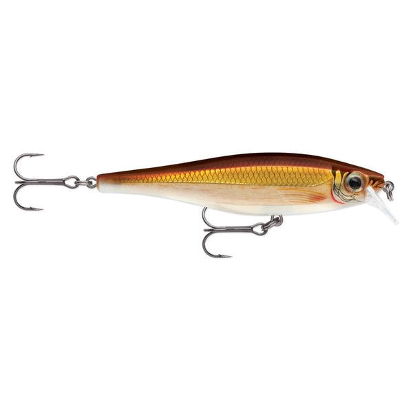 BX Minnow in Gold Shiner Pattern