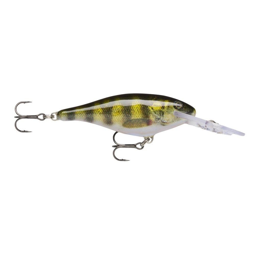 Shad Rap Lure in Live Perch Pattern