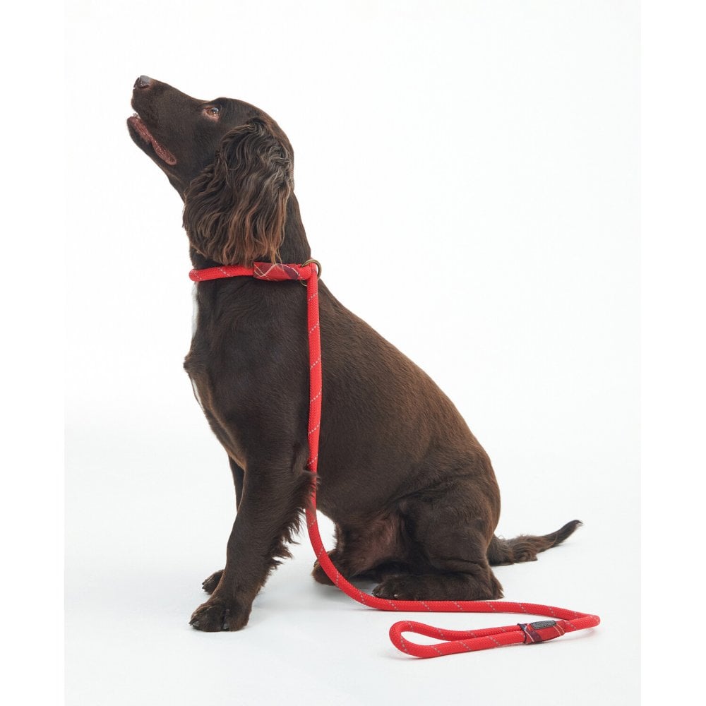 Reflective Dog lead - Red