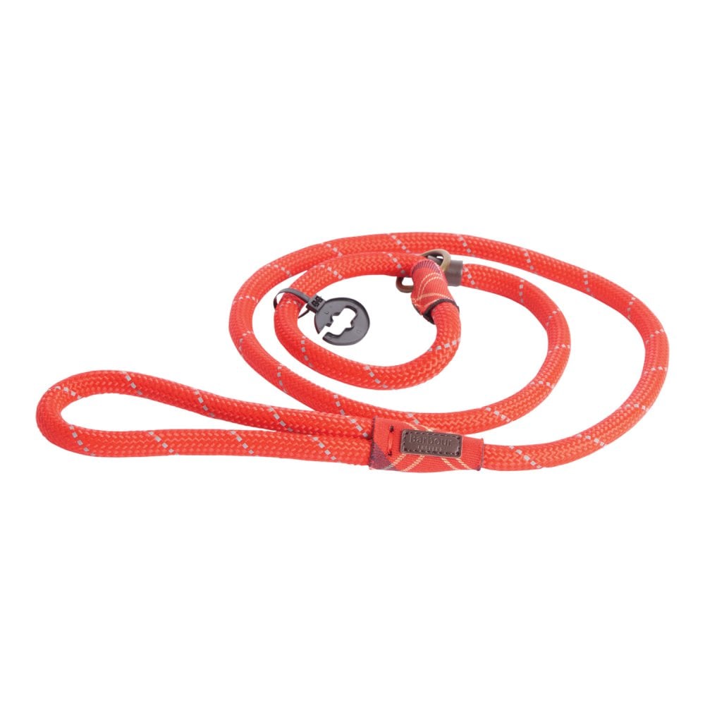 Reflective Dog lead - Red