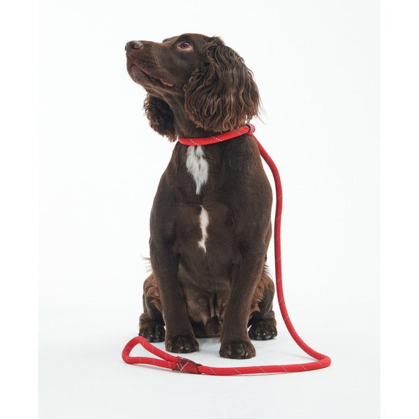 Reflective Dog lead - Red