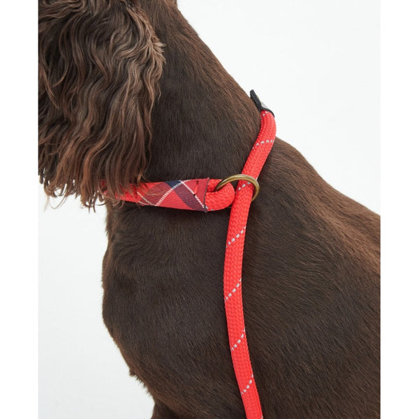 Reflective Dog lead - Red
