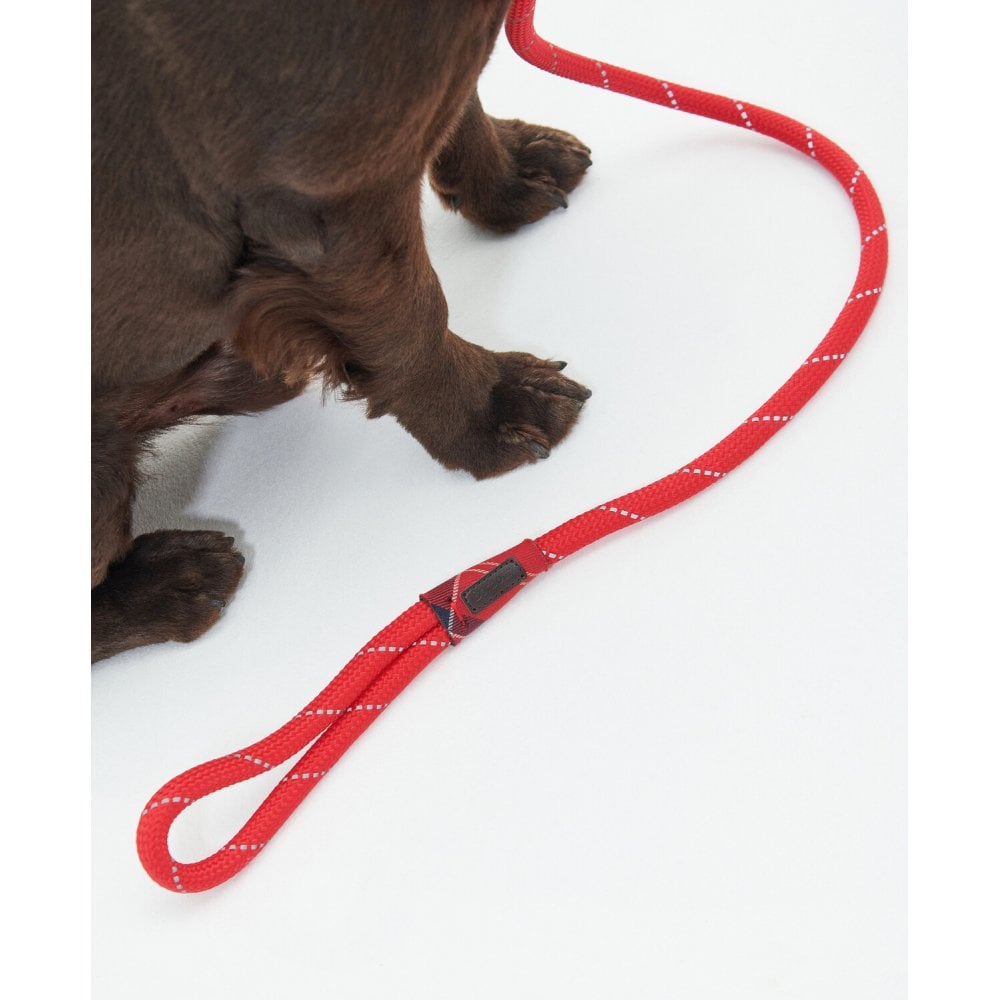 Reflective Dog lead - Red