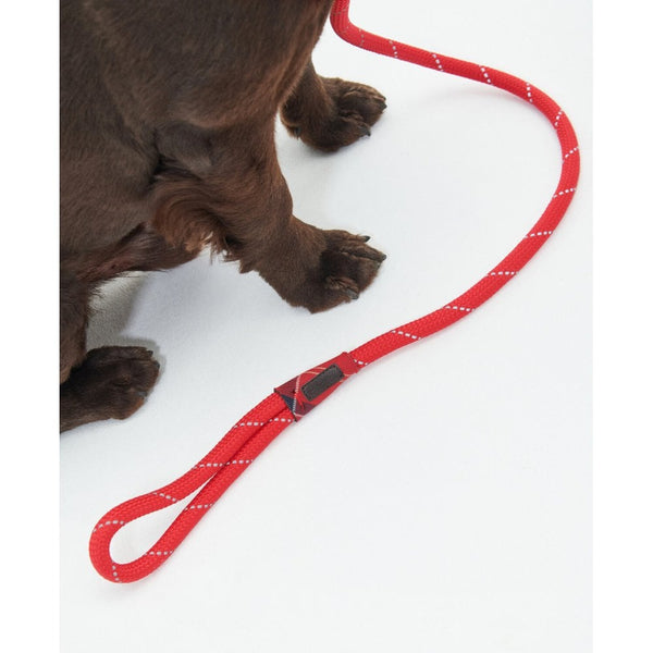 Reflective Dog lead - Red