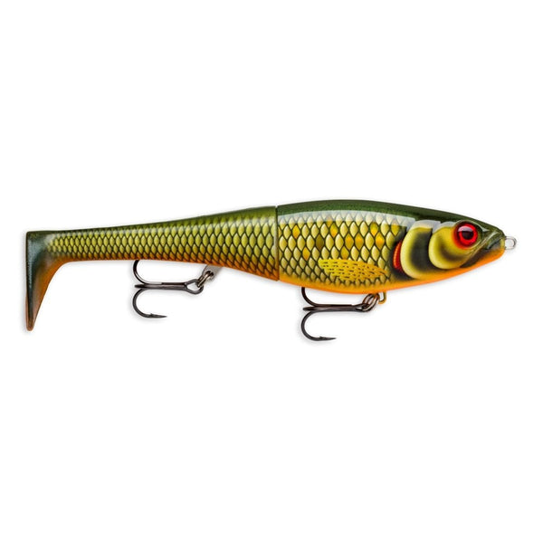X-Rap Peto Lure in Scaled Roach Pattern