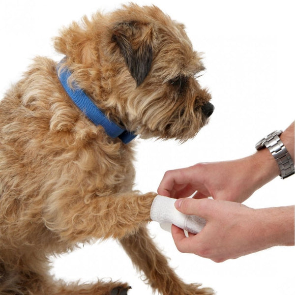 Dog First Aid Kit