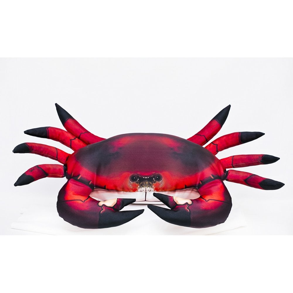 The Common Crab - 60cm