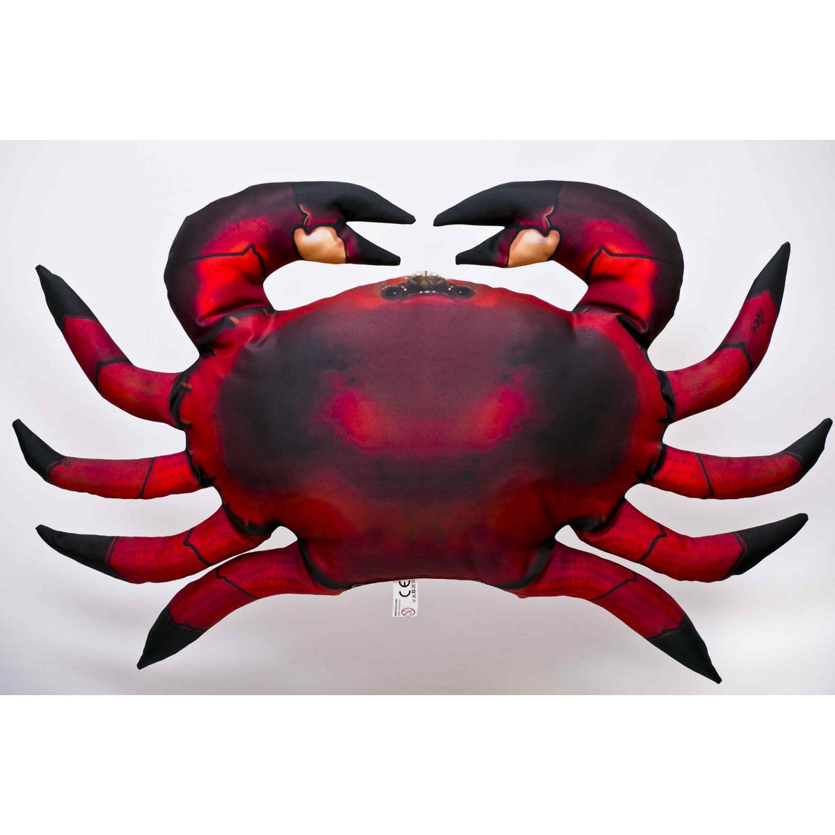 The Common Crab - 60cm