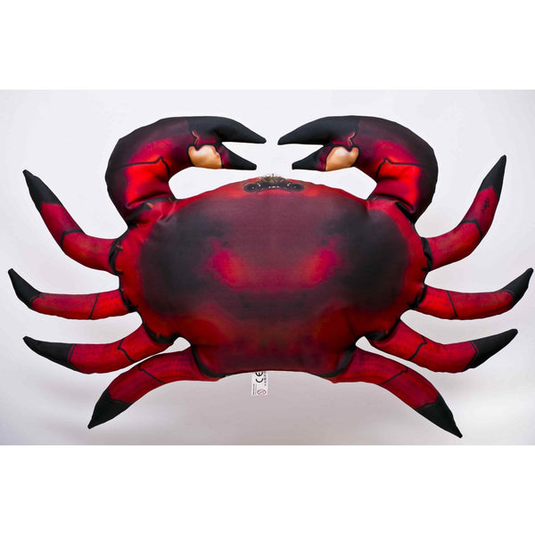 The Common Crab - 60cm
