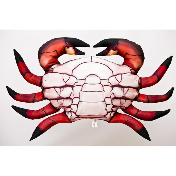 The Common Crab - 60cm