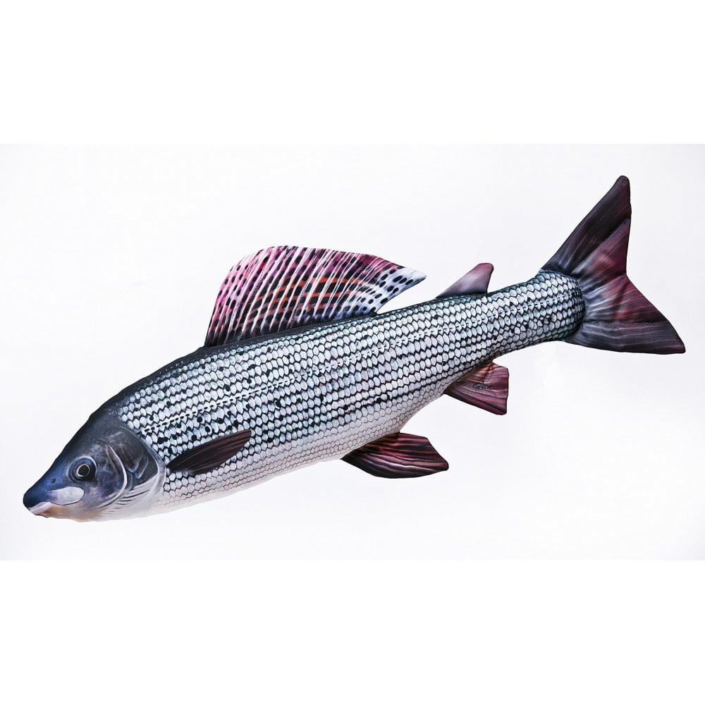 The Grayling - 65cm