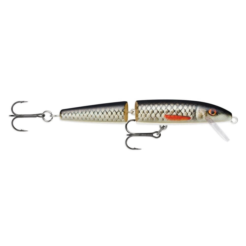 Jointed Floating Lure in Live Roach Pattern
