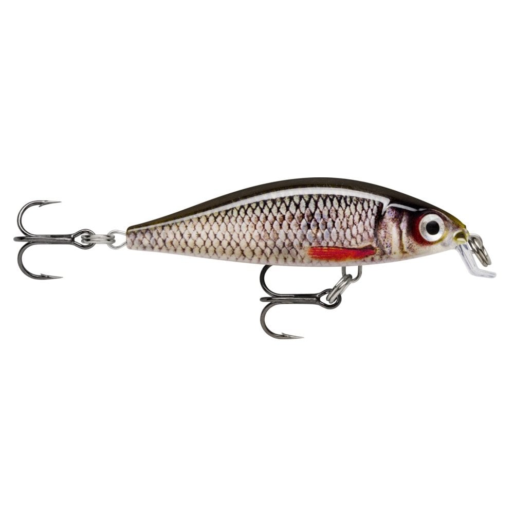 X-Light Minnow Lure in Live Roach Pattern