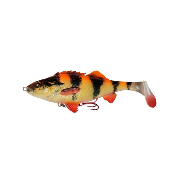 4D Perch Shad in Albino Pattern