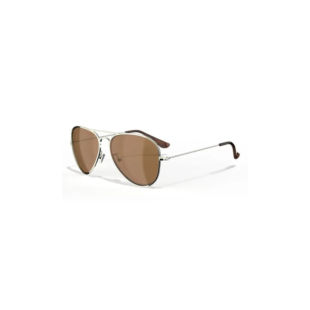 ATW1 Intro Copper Sunglasses