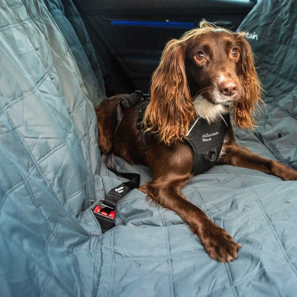 Dog Car Seat Belt