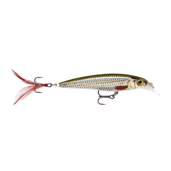 X-Rap Lure in Live Roach Pattern