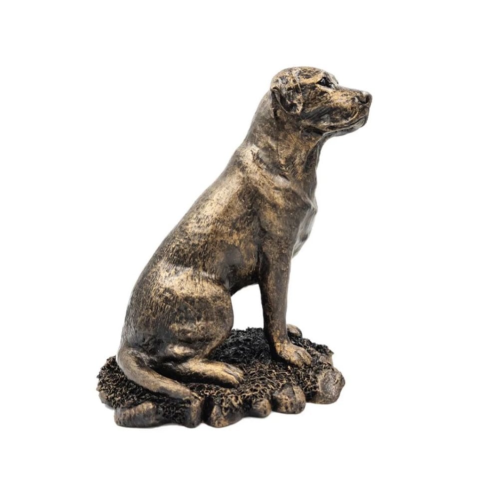 Patina Bronze Sculpture - Labrador Sitting