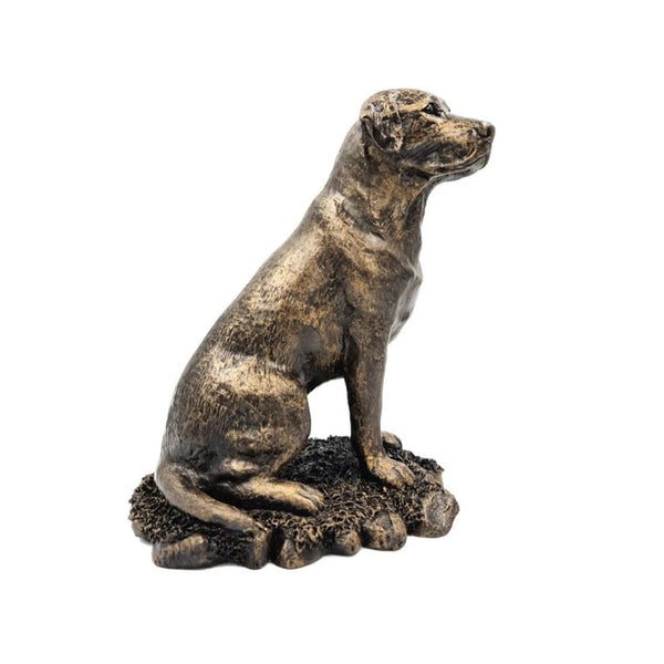 Patina Bronze Sculpture - Labrador Sitting