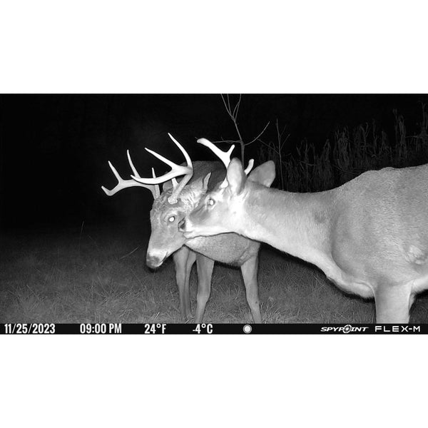 Flex-M Nature Camera