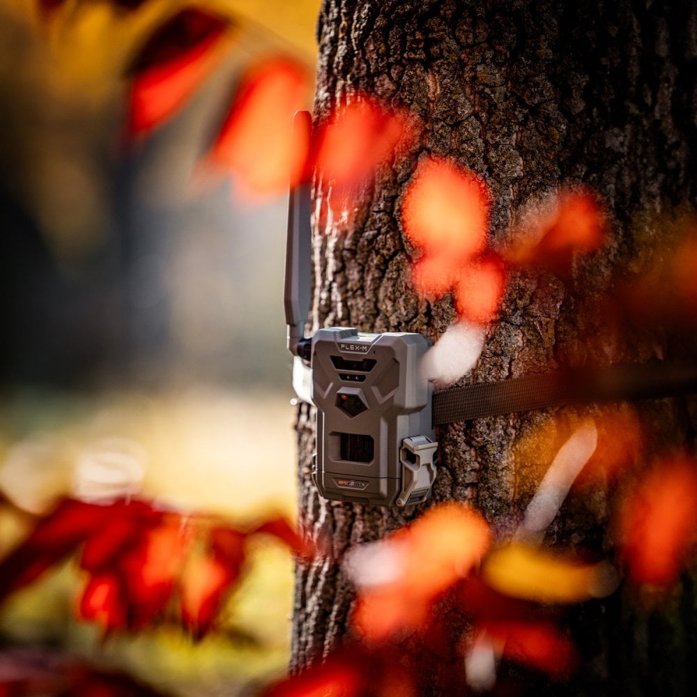 Flex-M Nature Camera