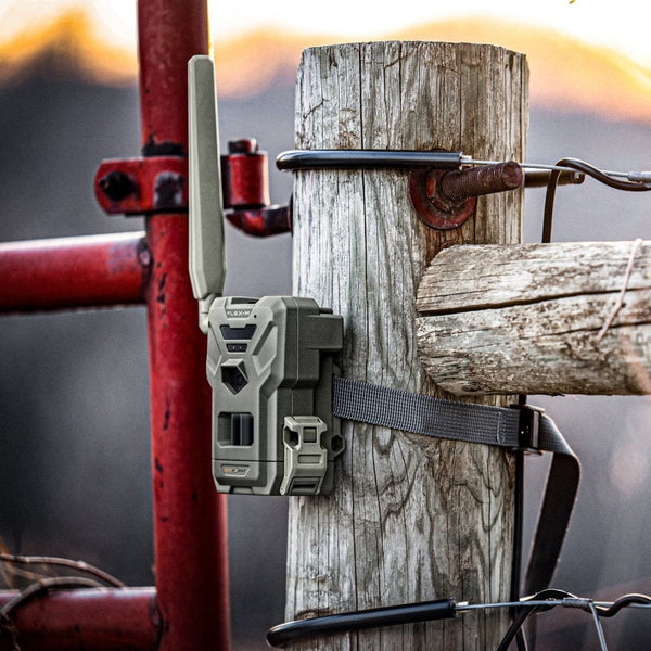 Flex-M Nature Camera