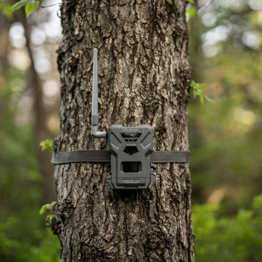Flex-M Nature Camera