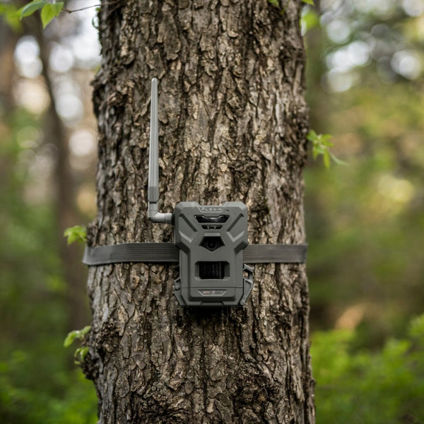 Flex-M Nature Camera