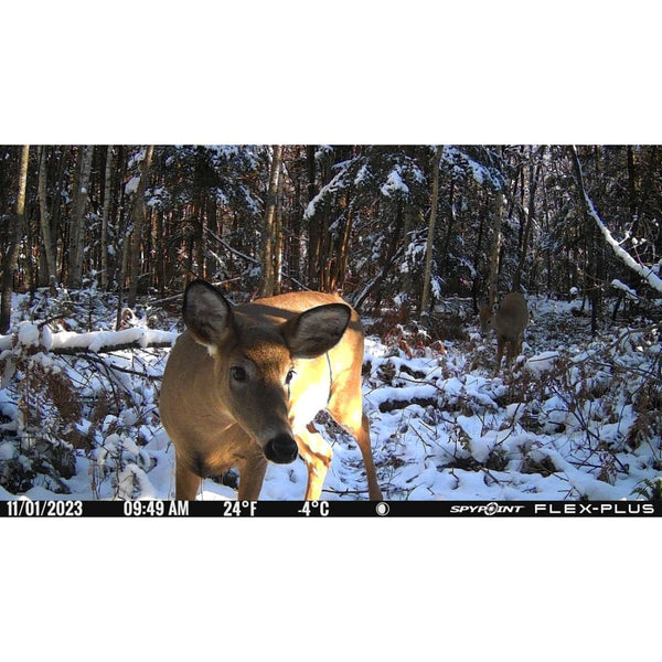Flex-Plus Nature Camera