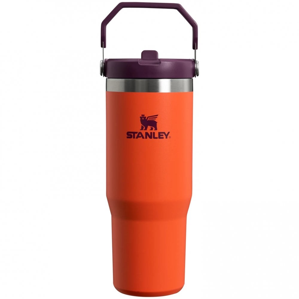 IceFlow Flip Straw Tumblers - 0.89 Litre/30oz