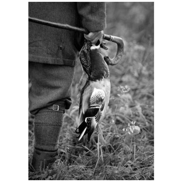 Duck & Snipe by CSP Greeting Card