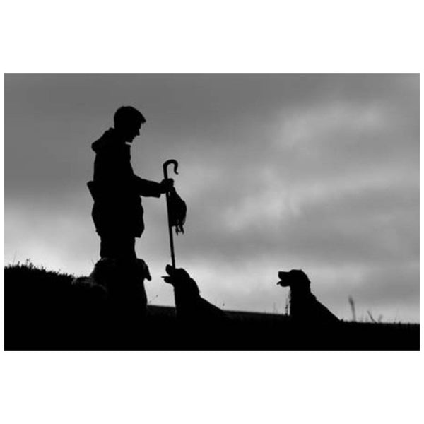 Grouse Moor by CSP Greeting Card