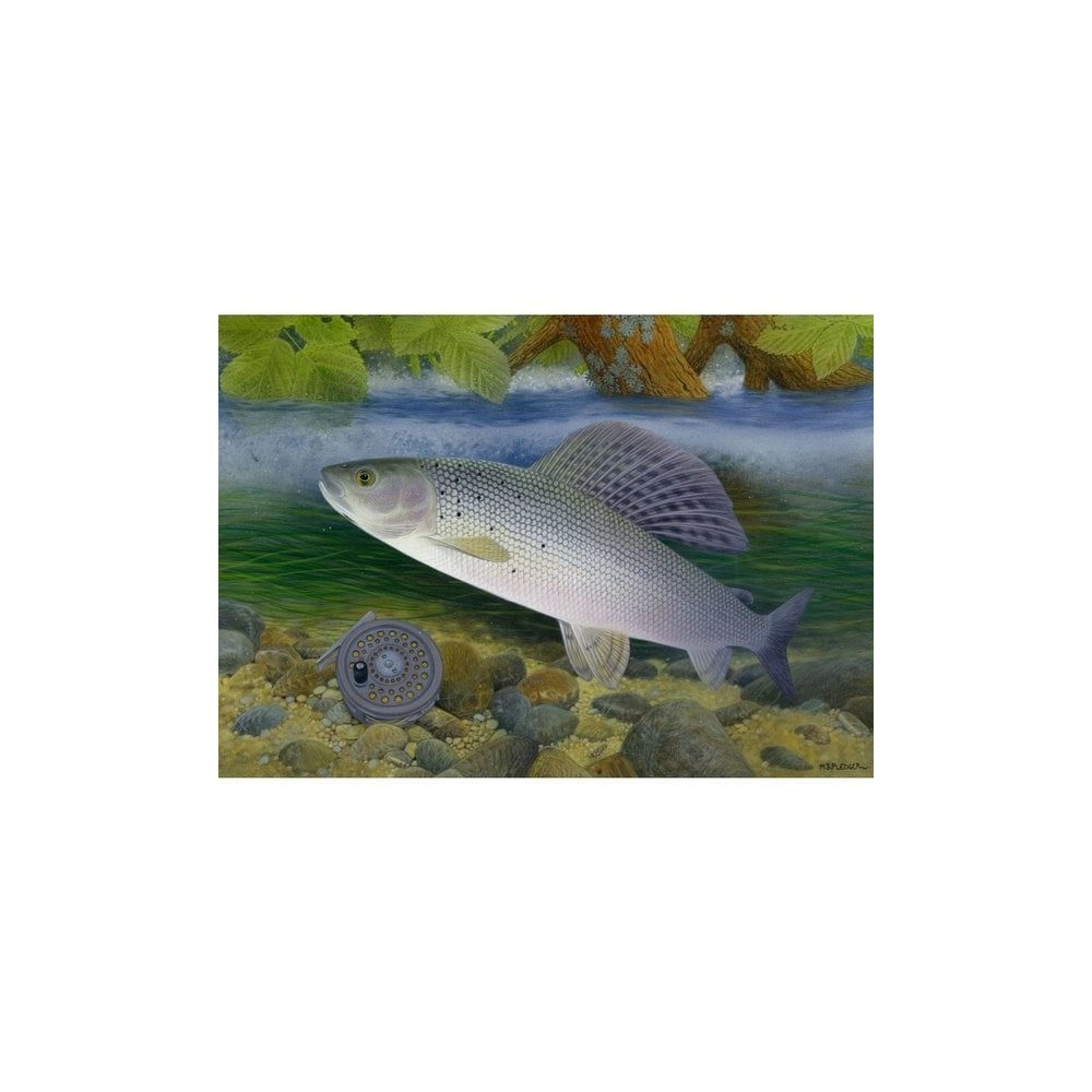 Grayling by Maurice Pledger Greeting Card