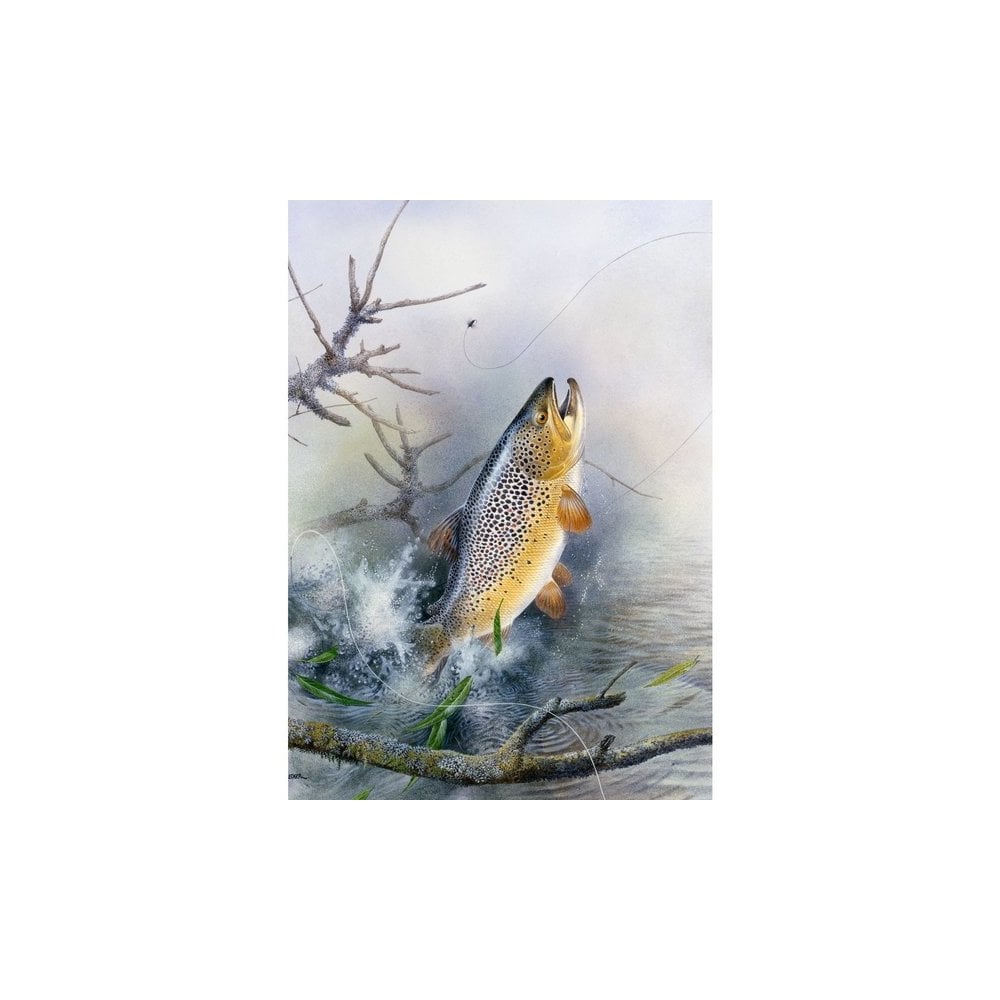 Leaping Brown Trout by Maurice Pledger Greeting Card