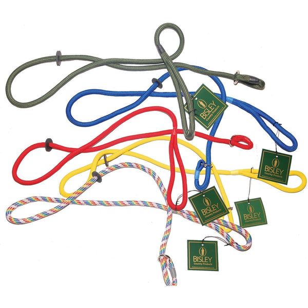 Loose Braid Dog Slip Leads