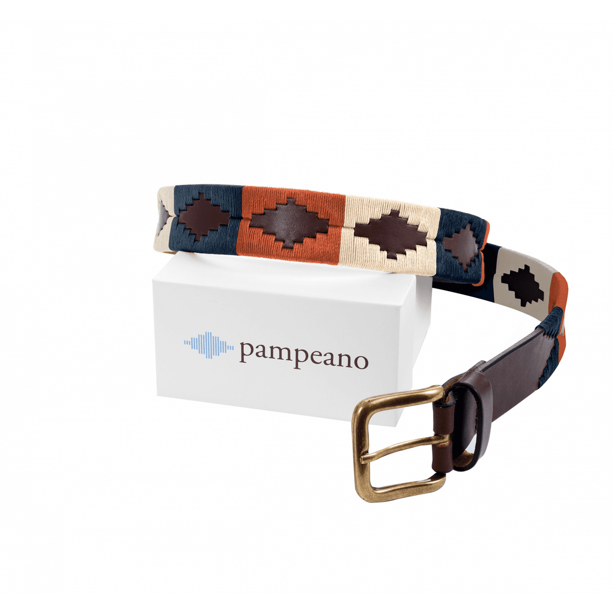 Polo Belt - Aurora