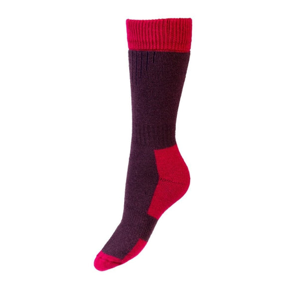 Lady Glen Socks- Thistle/Fuchsia