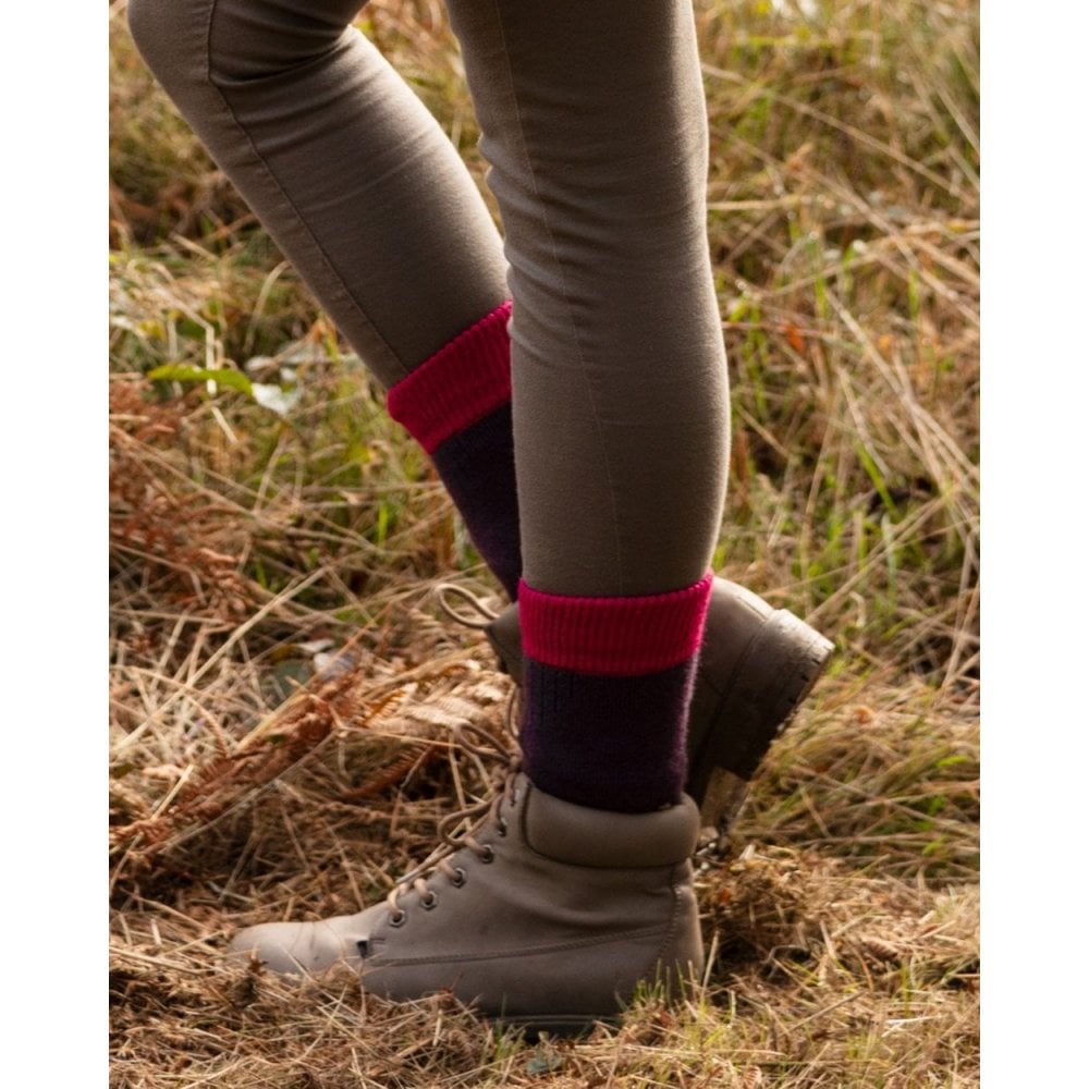 Lady Glen Socks- Thistle/Fuchsia
